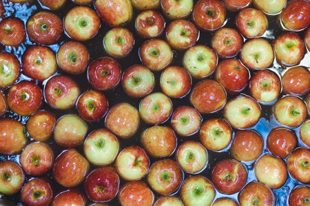Clean and fresh apples on conveyor belt in food processing facility. Healthy fruits, food production and automated food industry concept.の写真素材