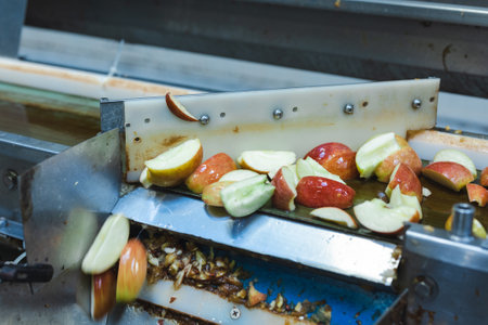 Sliced apples on a conveyor belt in food processing facility.
Healthy fruits, food production and automated food industry concept.の写真素材