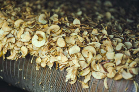 Sliced and dried apples on a conveyor belt in food processing facility. Healthy fruits, food production and automated food industry concept.の写真素材