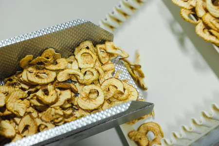 Sliced and dried apples on a conveyor belt in food processing facility. Healthy fruits, food production and automated food industry concept.の写真素材