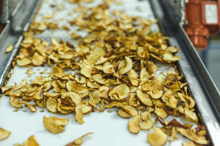 Sliced and dried apples on a conveyor belt in food processing facility. Healthy fruits, food production and automated food industry concept.の写真素材