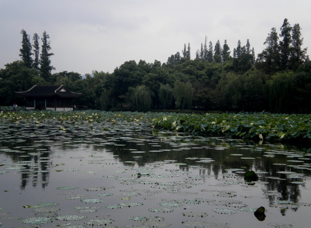View at the lakesideのeditorial素材