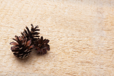 Rustic natural wooden background with pine cones