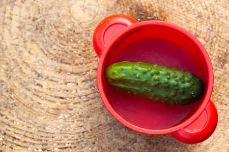 Cucumberin the child's plastic toy pan on the nature wood textured background, fresh vegetables, summer in the garden.の写真素材
