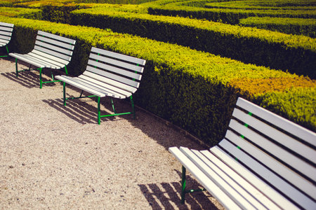 benches against the background of evenly cut decorative bushes. Summer park. Troja Palace in Prague....