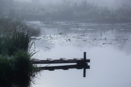 Fantastic foggy river with fresh green grass in the sunlight. Sun beams through tree. Dramatic...