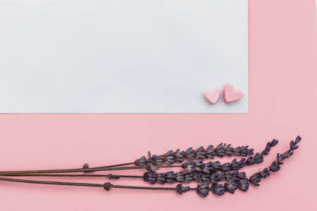 little Hearts of marshmallow and dried lavender flowers on a pink background with postcard. top view and free space for text. place for the inscription. love and valentine conceptの写真素材