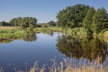 Sunny day on a calm river in the summer