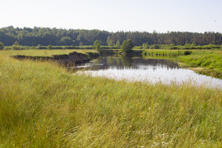 Sunny day on a calm river in the summer