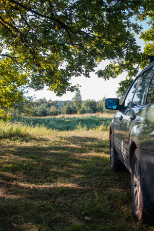hiking trip by car. a car with a car rack on the roof stands in a clearing in nature under a huge...