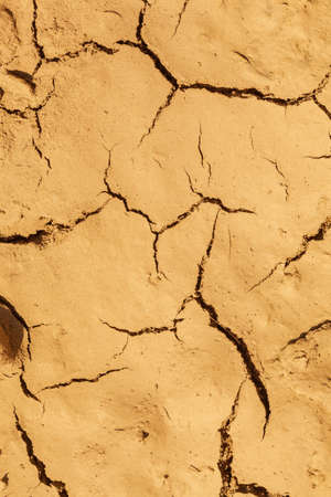 Dried cracked earth soil ground texture background. Mosaic pattern of sunny dried earth soilの写真素材