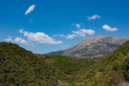 beautiful summer mountains green grass and blue sky landscapeの写真素材