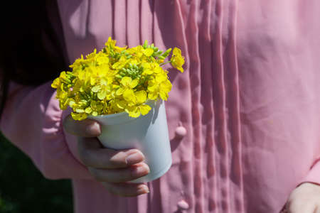 unrecognizable young woman holds in her hand a bouquet of wild yellow rape flowers. natural rape from which rape oil is madeの写真素材
