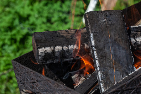 Ready for frying firewood is burning in a brazier. The preparation of cooking meat for barbecue