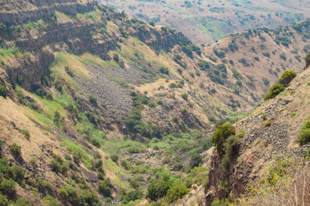 natural landscape of a canyon with rocks among grass and trees on a sunny summer day. slopes with...