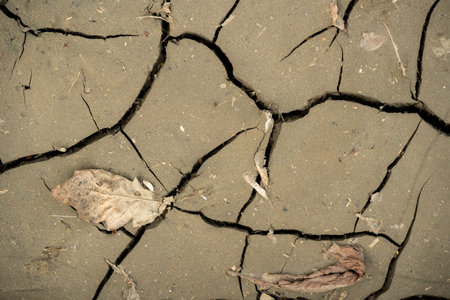 Dry cracked earth as a background close-up. environmental disaster. Drought.