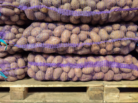 Potatoes in mesh bags on pallets for sale at the farmers' market. vegetable trade. close-up.の写真素材