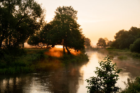 incredibly beautiful sunrise on the river in summer, sun rays through the trees on the river bank, fog creeping along the river in the morning at dawnの写真素材