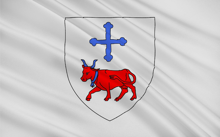 Flag of Oloron-Sainte-Marie is a commune in the Pyrenees-Atlantiques department in the region of Bearn in south-western France.の写真素材