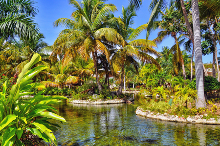 Punta Cana, Dominican Republic - March 25, 2010: Territory of Hotel Catalonia Royal Bavaro in Punta Cana, Lake and palm treesのeditorial素材