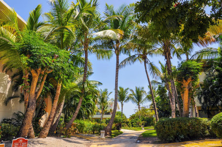 Punta Cana, Dominican Republic - March 19, 2010: Territory of Hotel Catalonia Royal Bavaro in Punta Canaのeditorial素材