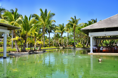 Punta Cana, Dominican Republic - March 20, 2010: Territory of Hotel Catalonia Royal Bavaro in Punta Canaのeditorial素材