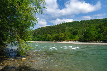 Mountain river, fast stream in forest and blue sky