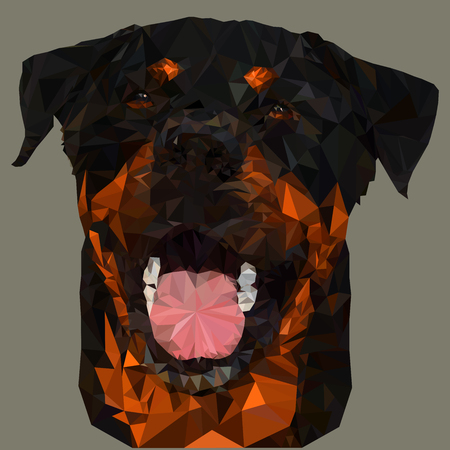 Triangular of the Rottweiler Dog Face. Vector triangulated illustrationのイラスト素材