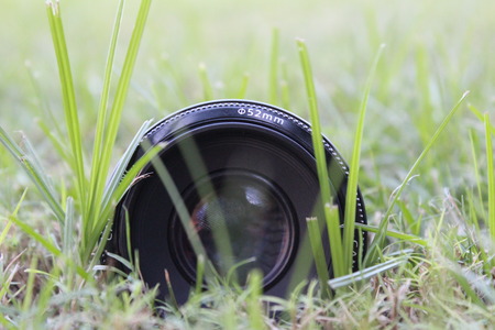 Lens 50 mm in grass.の写真素材