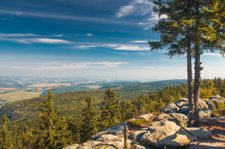 View of the sunny valley