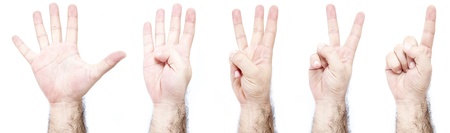 One Two Three Four Five Hand Gestures, hairy arm isolated on a white backgroundの写真素材
