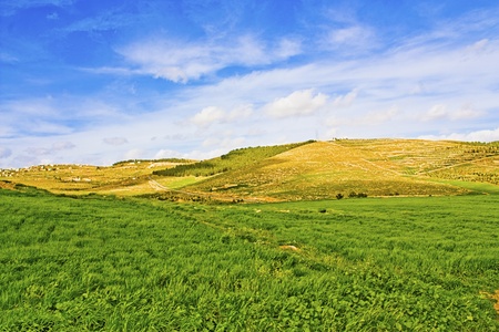 Green pastures and grazing land at the Jordan countrysideの写真素材