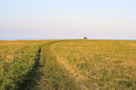 Field with a mown grass, bench on a skyline and sitting manの写真素材