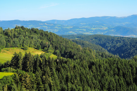 Panoramic view on mountains with fields and forestの写真素材