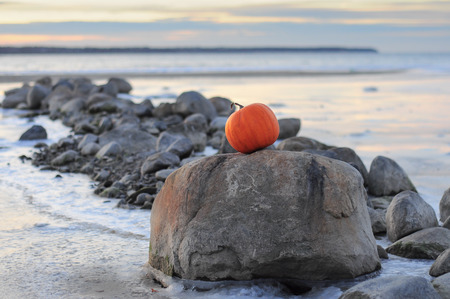 Big orange pumpkin is on rock near frozen seaの写真素材
