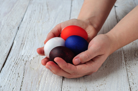 Colored easter eggs in hands on wooden white shabby backgroundの写真素材