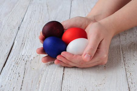 Colored easter eggs in hands on wooden white shabby backgroundの写真素材