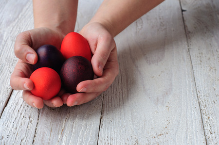 Colored easter eggs in hands on wooden white shabby backgroundの写真素材