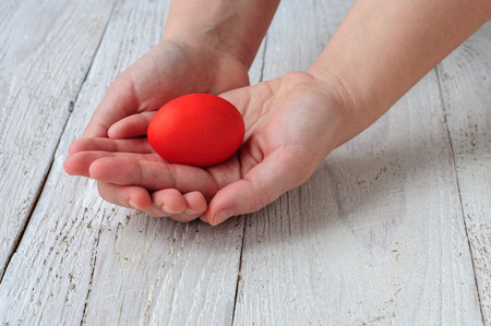 Colored easter eggs in hands on wooden white shabby backgroundの写真素材