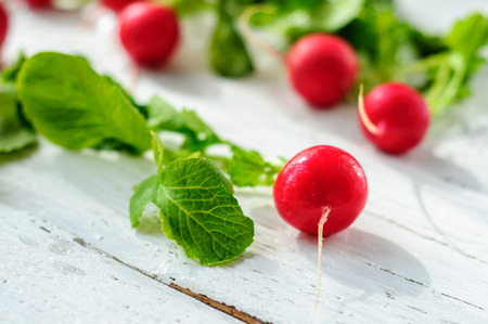Young fresh radishes on white wooden backgroundの写真素材
