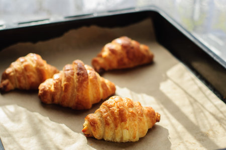 Fresh baked croissants on baking paper and oven-tray at sunny day