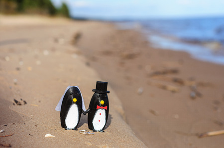 Penguins cake topper on beachの写真素材