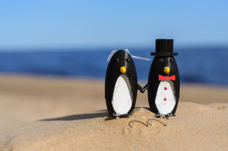 Penguins cake topper on beachの写真素材