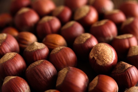 Top view of hazelnuts. Close up. Selective focus, copy spaceの写真素材