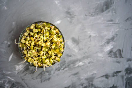 Bowl with mung bean with sprouts.Close up on grey concrete backgroundの写真素材