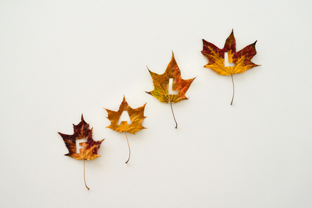 Colorful maple leaves with cutted out word FALL on white backgroundの写真素材