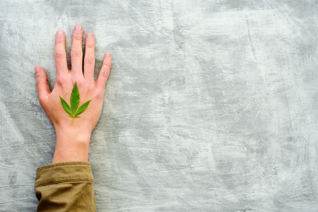 Hand with hemp leaf on grey concrete backgroundの写真素材