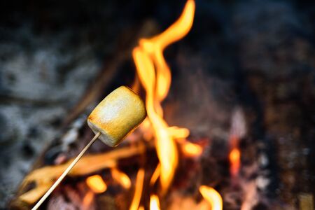 Roasted marshmallow on wooden stick near camp fire.の写真素材