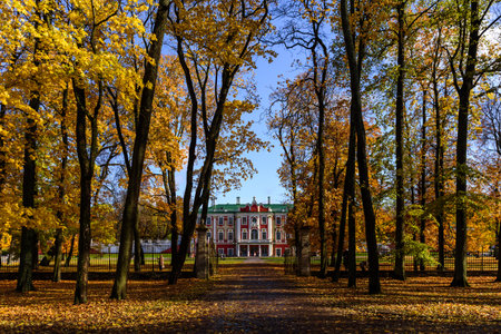 View to Kadriorg palace from park with yellow leaves on trees at autumn. Sunny clear sky, warm fallのeditorial素材