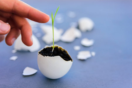 Egg shell with growing sprout. Spring and Easter concept